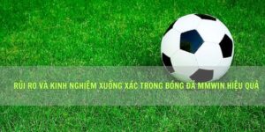 Rủi Ro Và Kinh Nghiệm Xuống Xác Trong Bóng Đá Mmwin Hiệu Quả