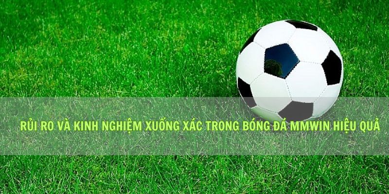 Rủi Ro Và Kinh Nghiệm Xuống Xác Trong Bóng Đá Mmwin Hiệu Quả